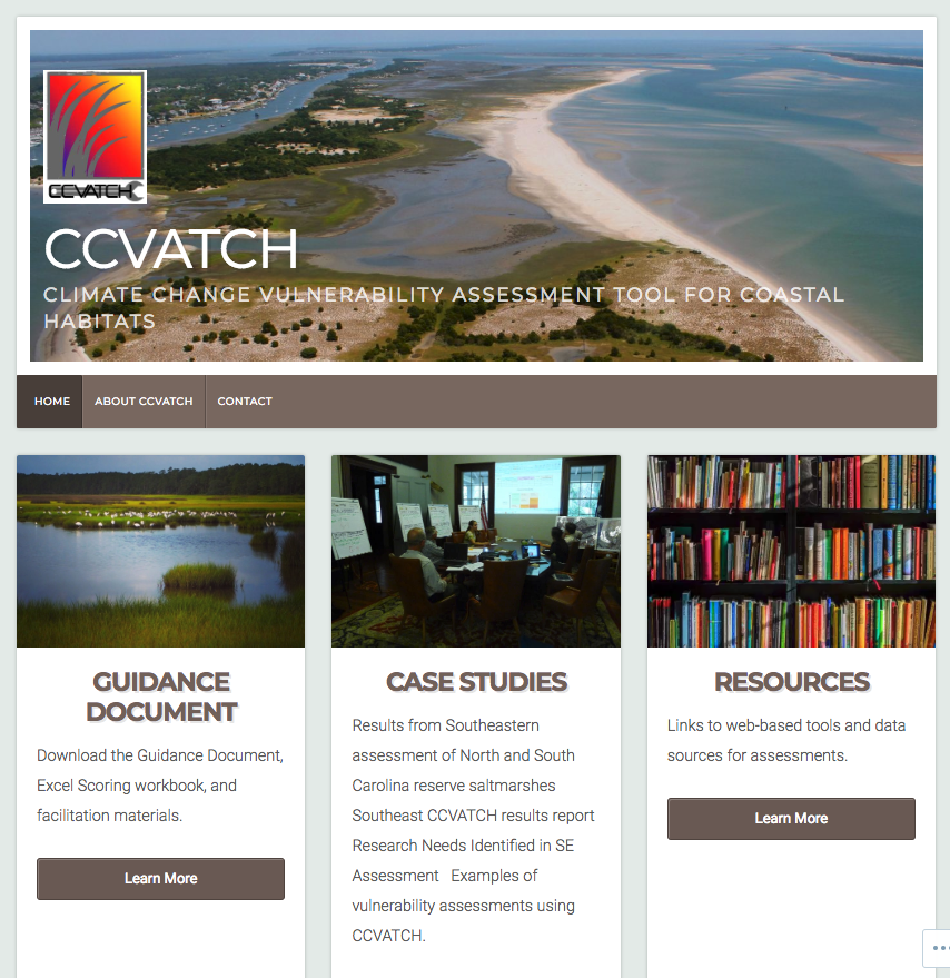 CCVATCH Homepage