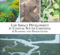 Screenshot of Low Impact Development in Coastal South Carolina: A Planning and Design Guide
