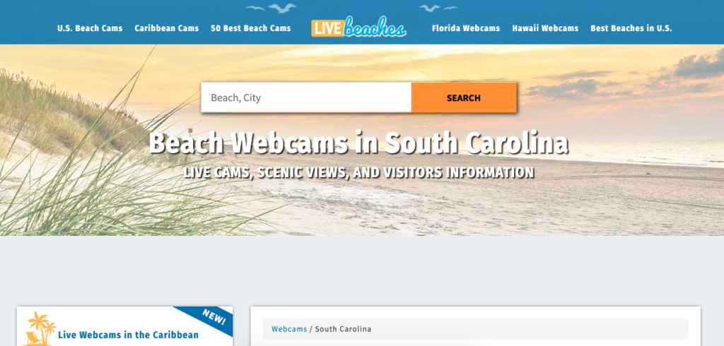 Live Beaches: SC Beach Webcams Screenshot